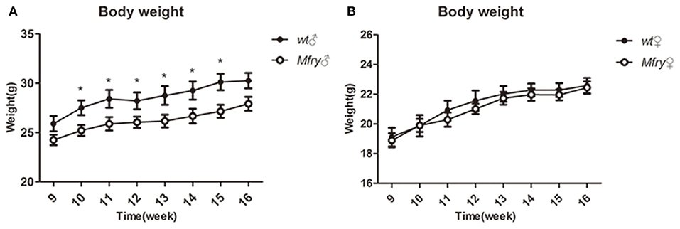 Mammary gland whole mounts from Fry conditional knockout and control mice.